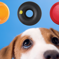 15 Indestructible Dog Toys For Heavy Chewers