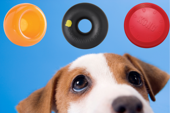 15 Indestructible Dog Toys For Heavy Chewers
