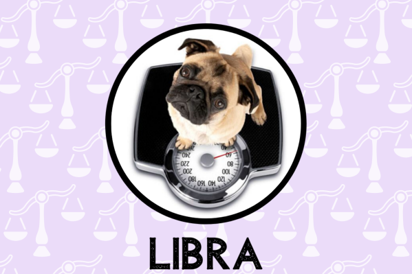 Libra Dog Personality: What Being A Libra Says About Your Dog