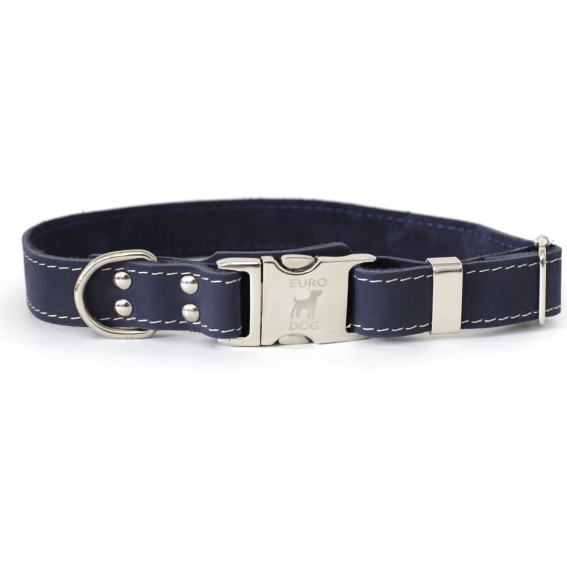 The 18 Best Collars & Harnesses For Your Dog
