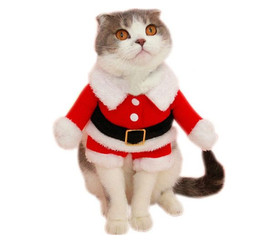 santa cat halloween costume