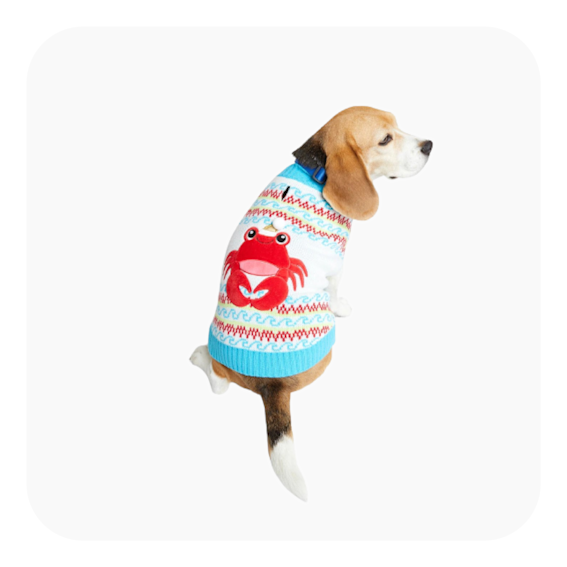 crab-sweater