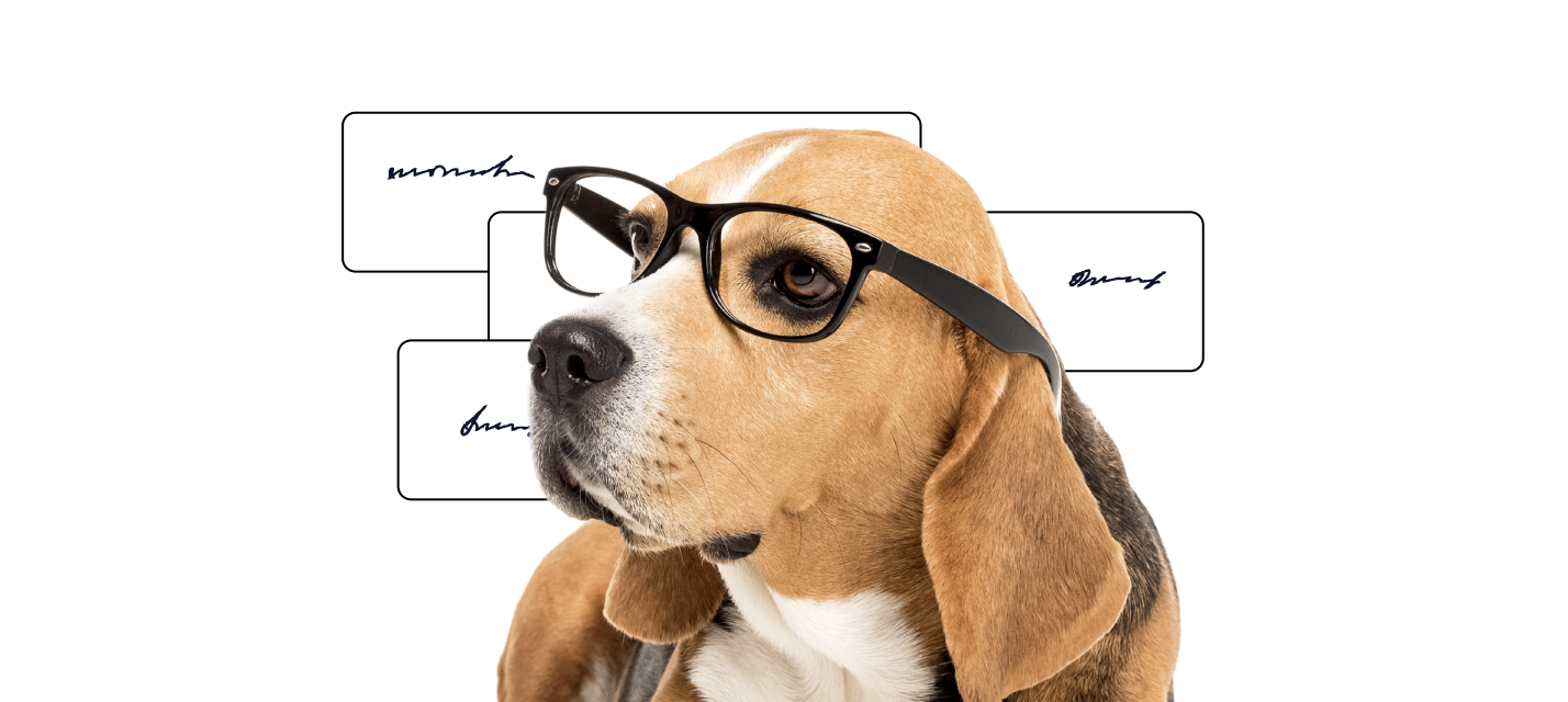 Dog with popup text in the background