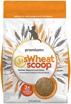 Swheat Scoop Unscented Premium+ All-Nature's Cat Litter