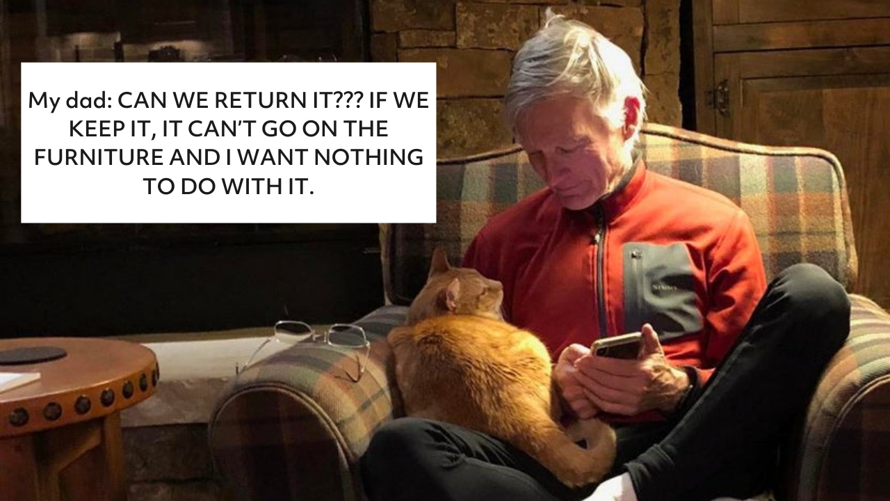 13 Dads Who Didn't Want Pets... & Are Now Obsessed With Them