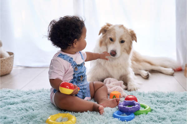 How To Introduce Your Dog To A Baby