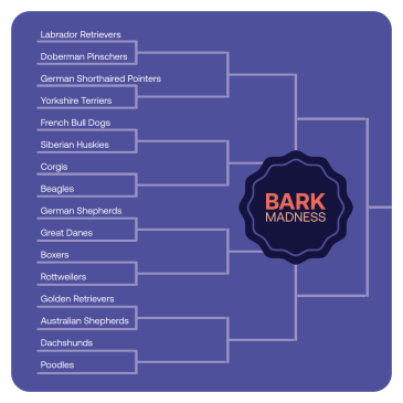 Bark Madness Bracket 2022