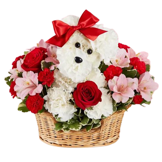 1800flowers love pup basket - pawp