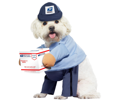 USPS Carrier Dog Costume