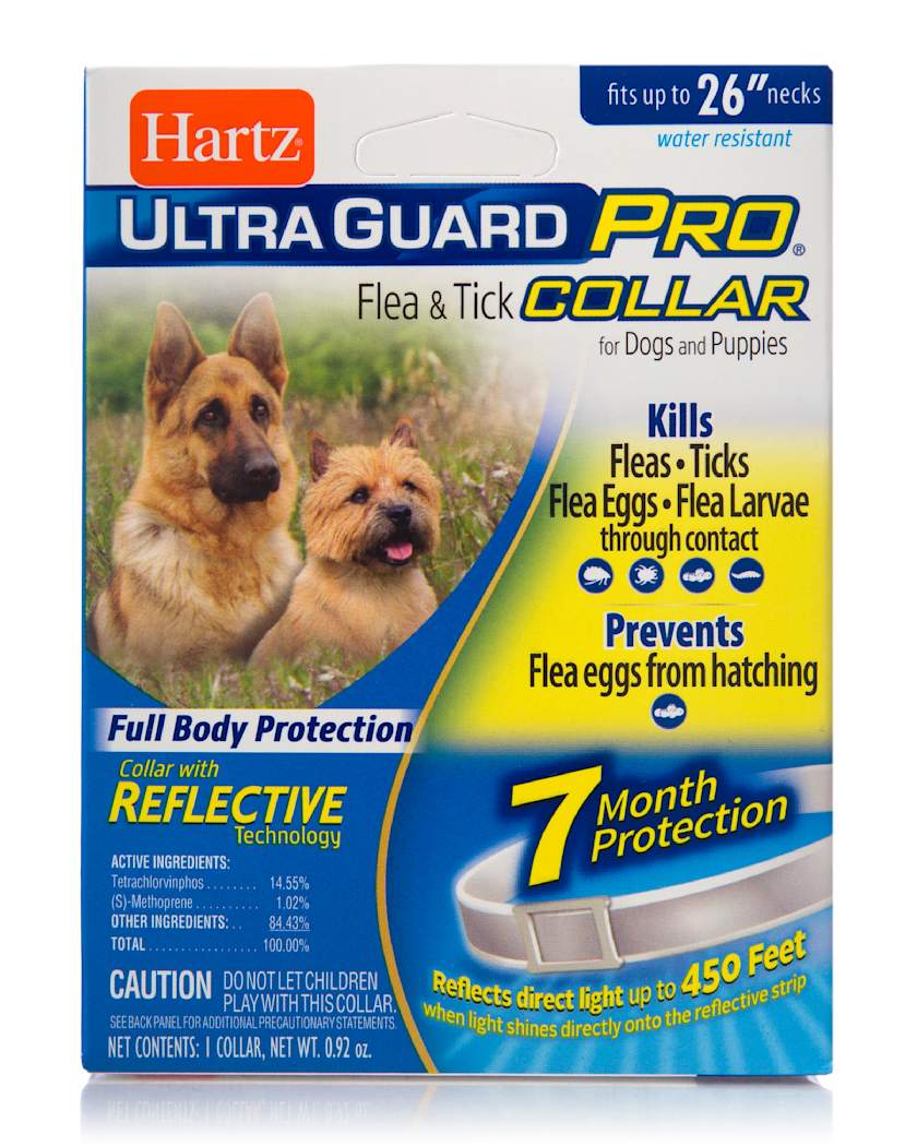 The Best Dog Flea & Tick Medications Of 2021