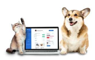 CTA- cat dog laptop