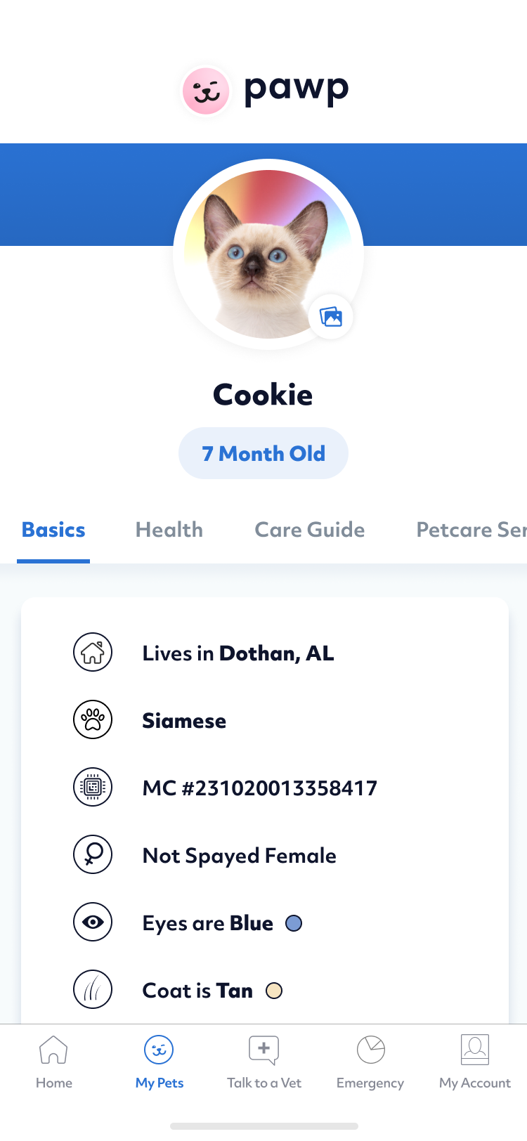 Application screen