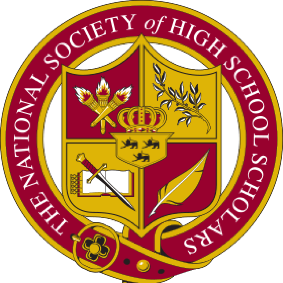 logo-NHSS