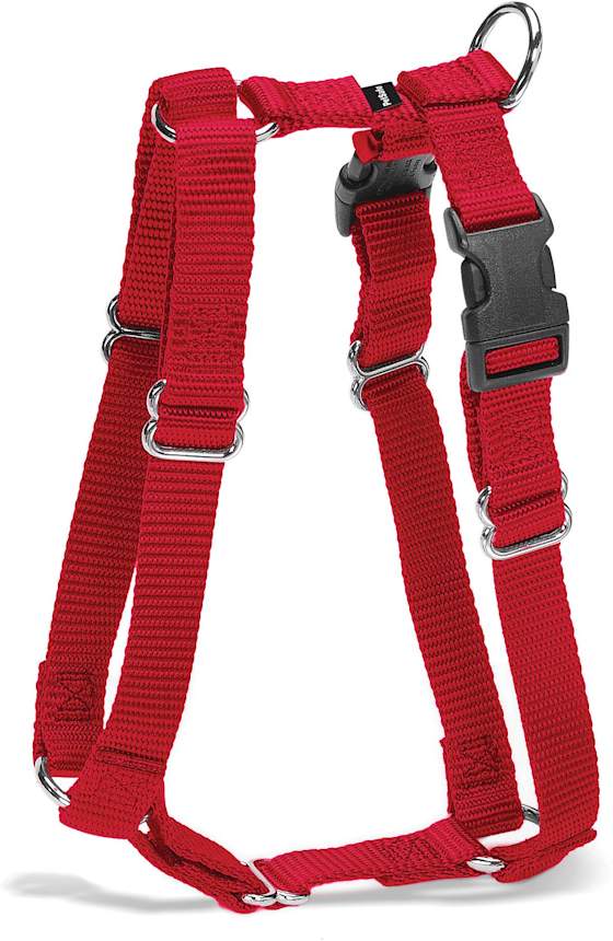 The 18 Best Collars & Harnesses For Your Dog