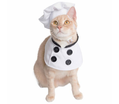 chef cat halloween costume