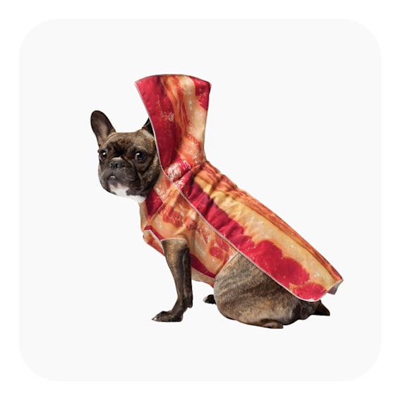 bacon-dog-costume