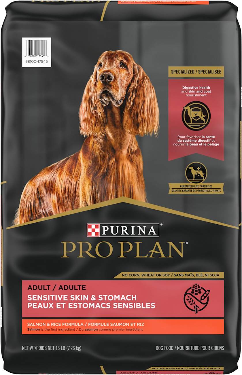 10 Best Dog Foods, By Vets & Pet Experts