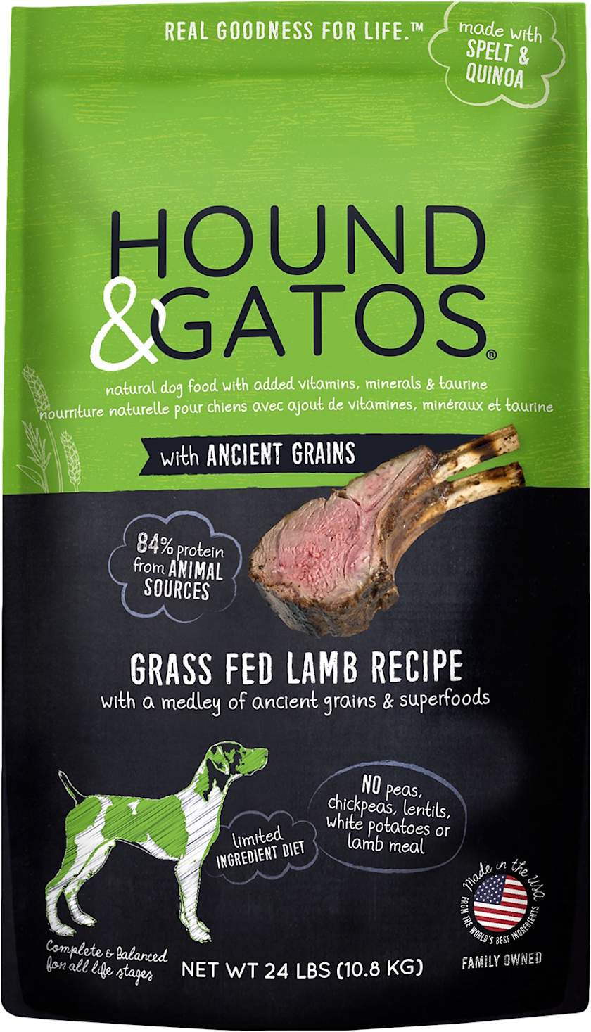 10 Best Dog Foods, By Vets & Pet Experts