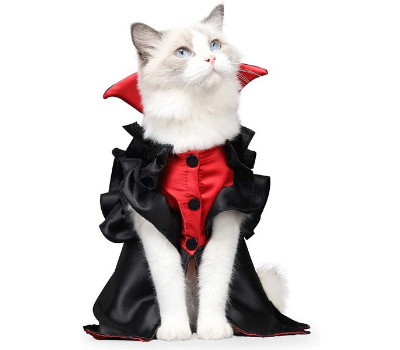 vampire cat halloween costume