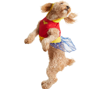 wonder woman halloween dog costume