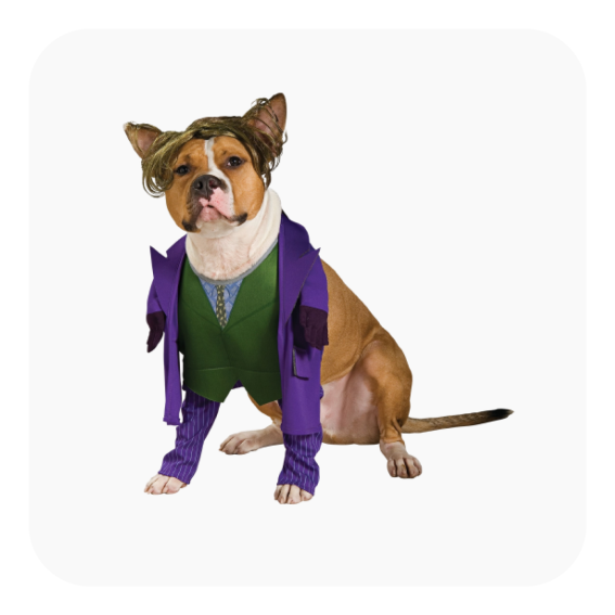 the-joker-dog-costume