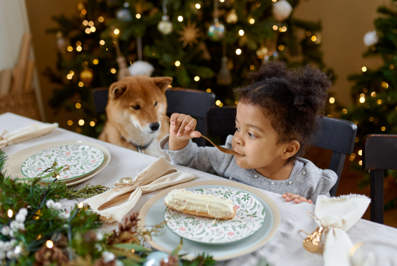Hosting For The Holidays? How To Prep Your Pet