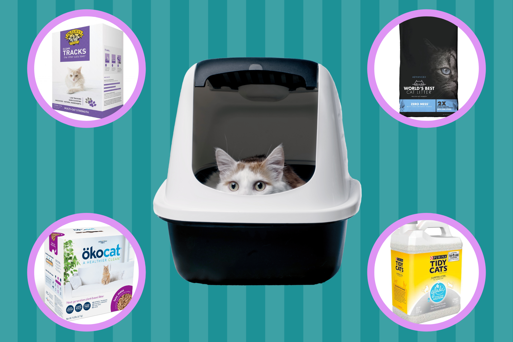 Best Cat Litter 2020 We Tested Different Cat Litters So You Dont Have To 6601