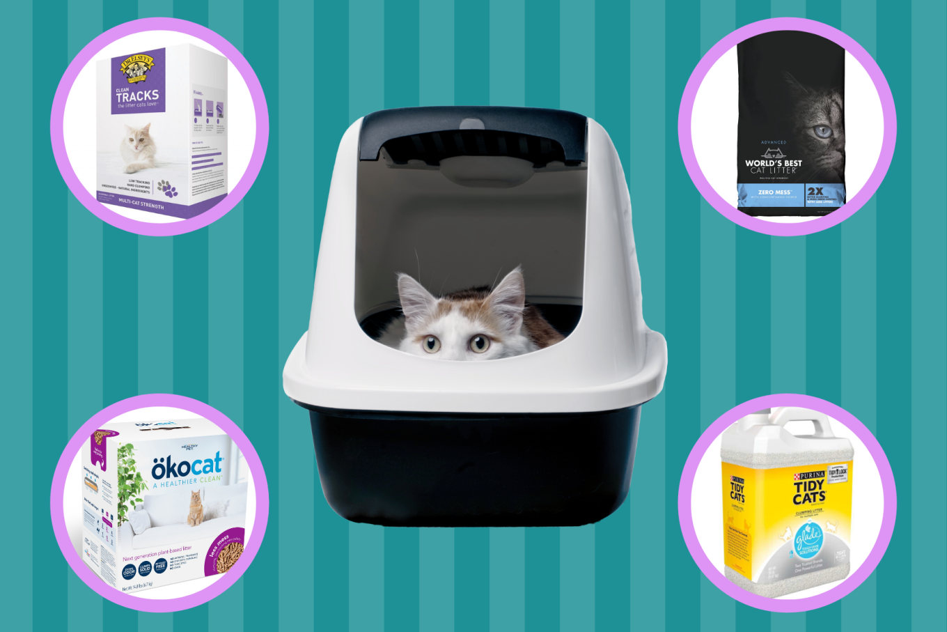 Best Cat Litter 2020 We Tested Different Cat Litters So You Don't Have To