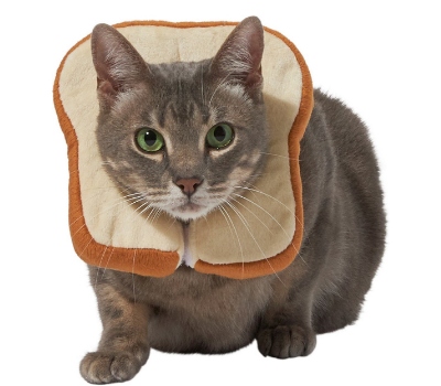 cat bread cat halloween costume