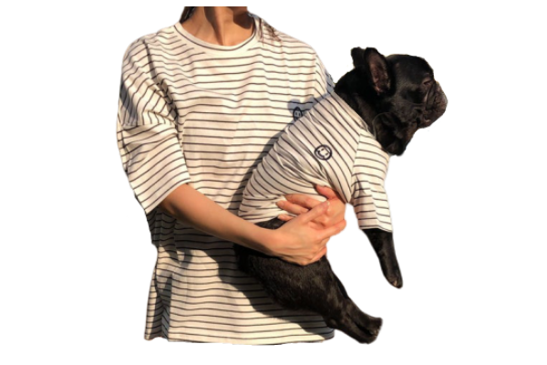 dog and human striped tshirt matching