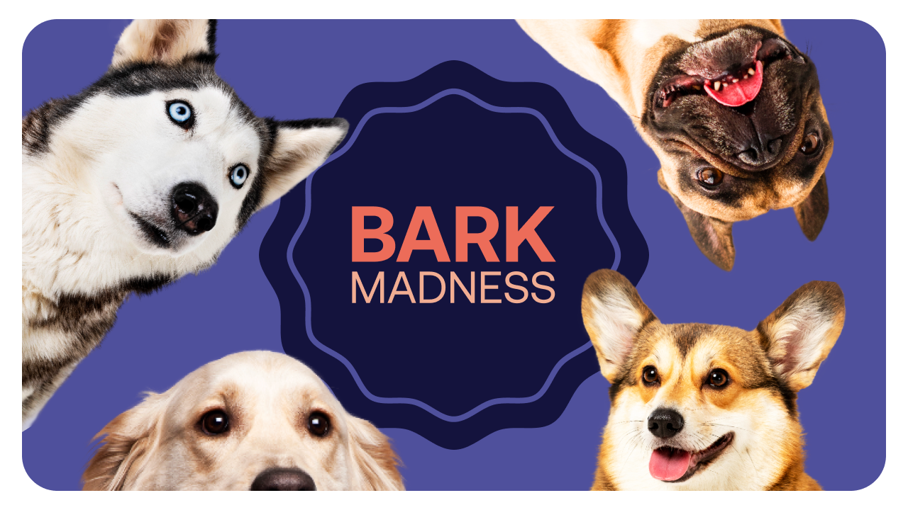 Bark Madness: Fill Out Your "Bark-et" & Vote On Your Favorite Dog Breeds
