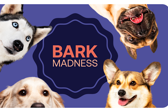 Bark Madness: Fill Out Your "Bark-et" & Vote On Your Favorite Dog Breeds