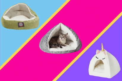 best cat beds hero - pawp