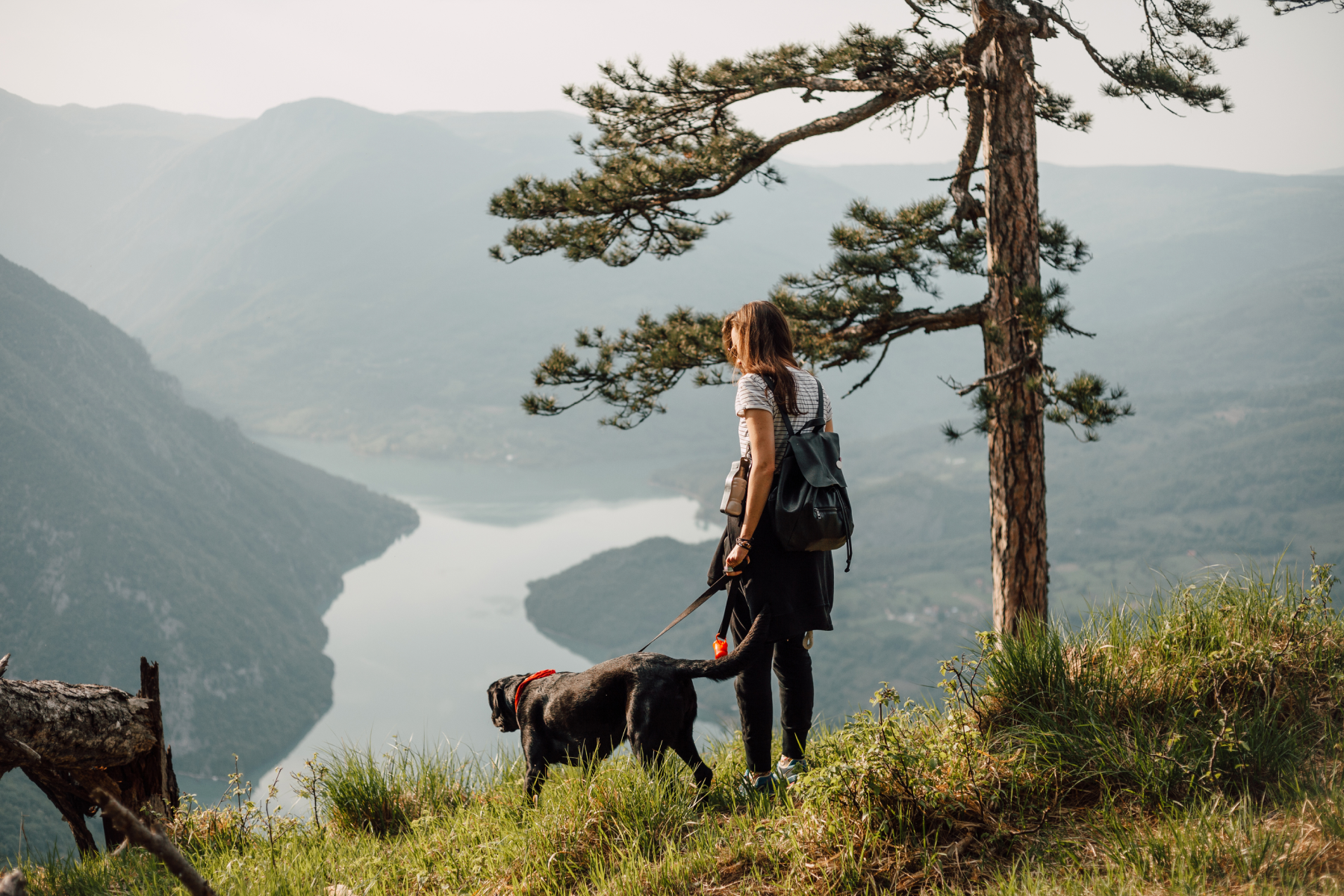 What Is One Health & Why Is It Important?