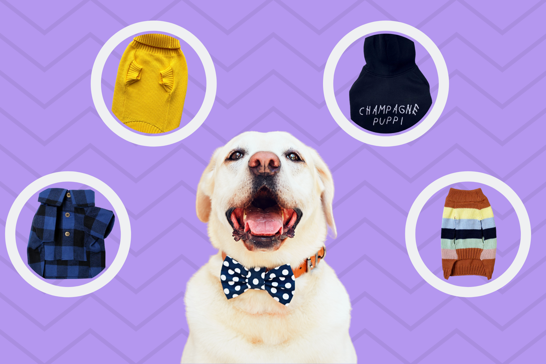 13 Matching Outfits For You And Your Dog To Twin In