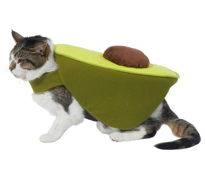 avocado cat halloween costume