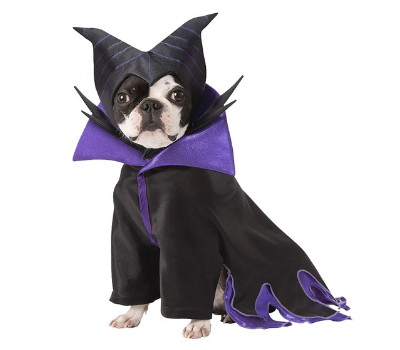 Maleficent Dog Costume