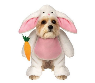 hopping bunny halloween dog costume