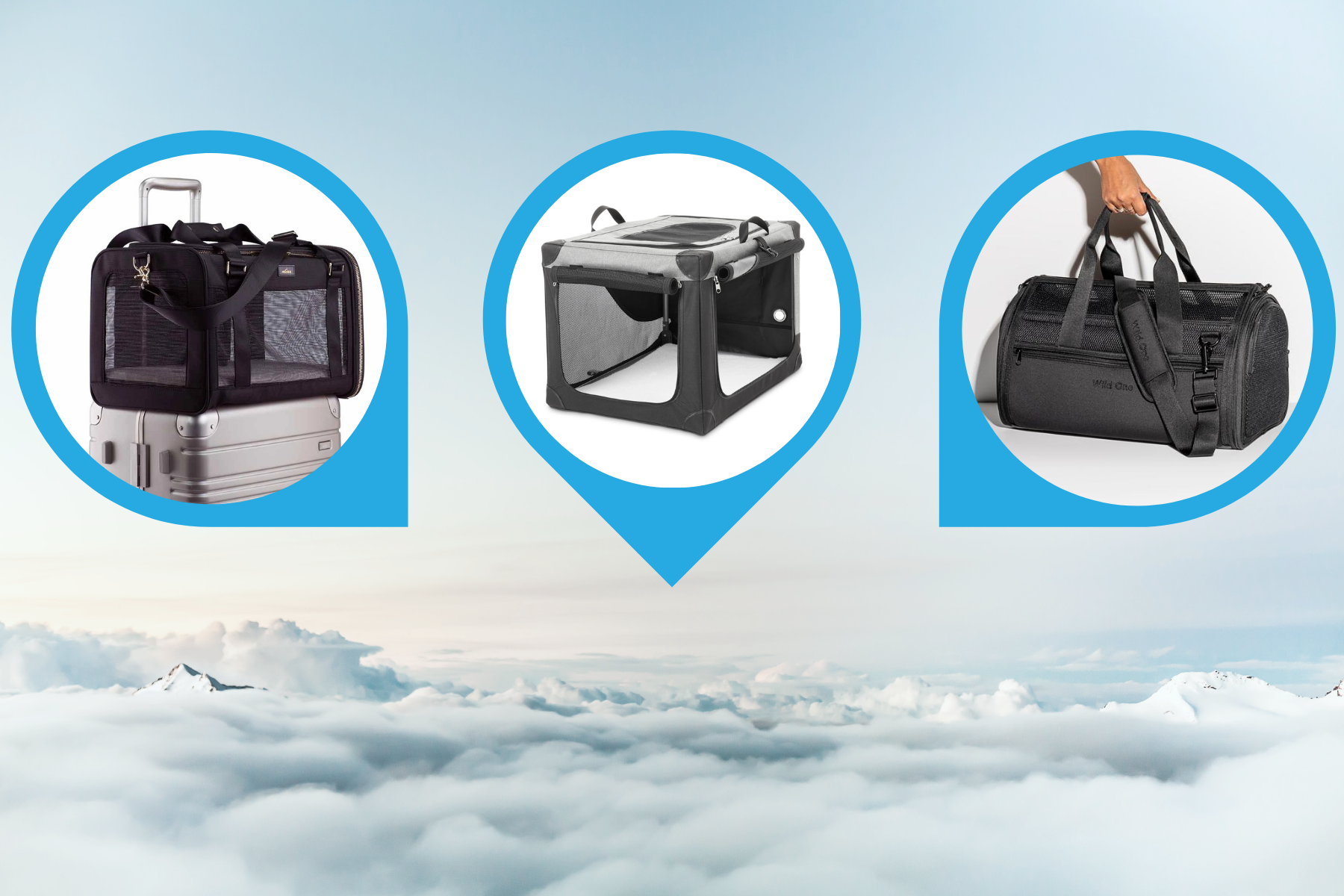13 Best Dog Crates & Carriers For Airline Travel