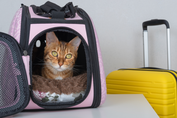 Cat carrier Pet bag Ventilated Safe Foldable Travel on plane Puppy  available