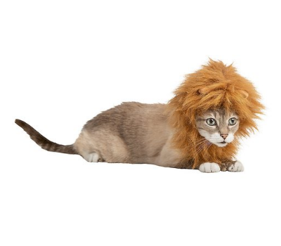 lion mane cat halloween costume