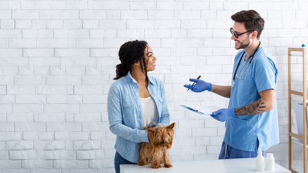 9 Things You Should Ask At A Vet Appointment