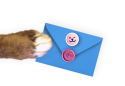 Paw with envelope