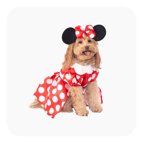 minnie-mouse-dog-costume