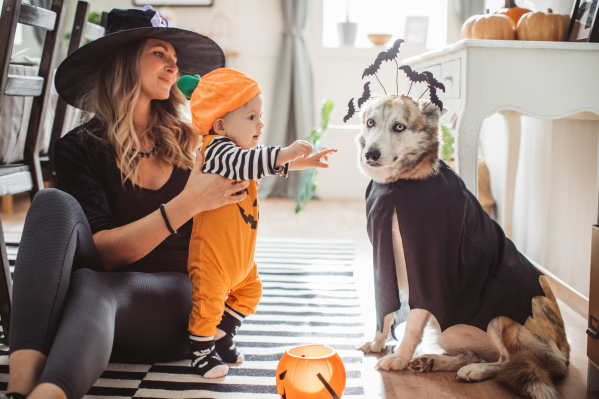 11 Couples Halloween Costumes For You & Your Dog