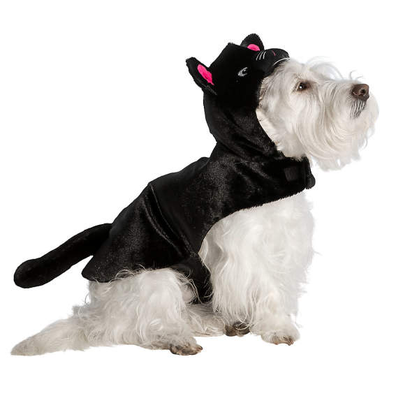 cat dog costume