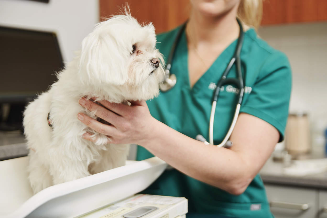9 Signs You Should Call Your Vet For A Checkup