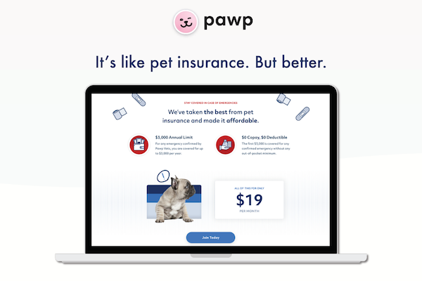 Pawp Dog Insurance