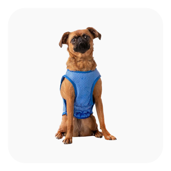 gf-pet-elastofit-vest