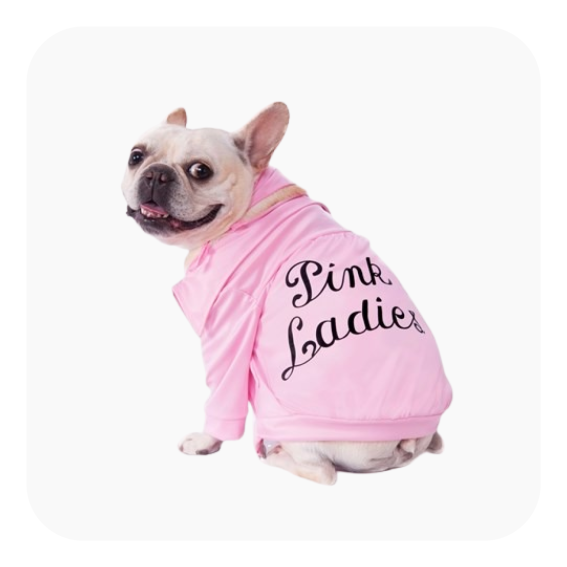 pink-ladies-dog-costume